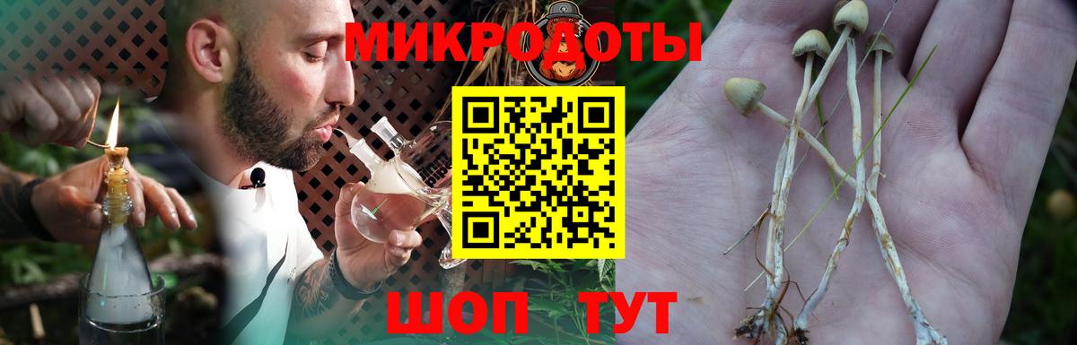 Псилоцибиновые грибы Cubensis  Вход с VPN  Майкоп  Псилоцибиновые грибы мухоморы 