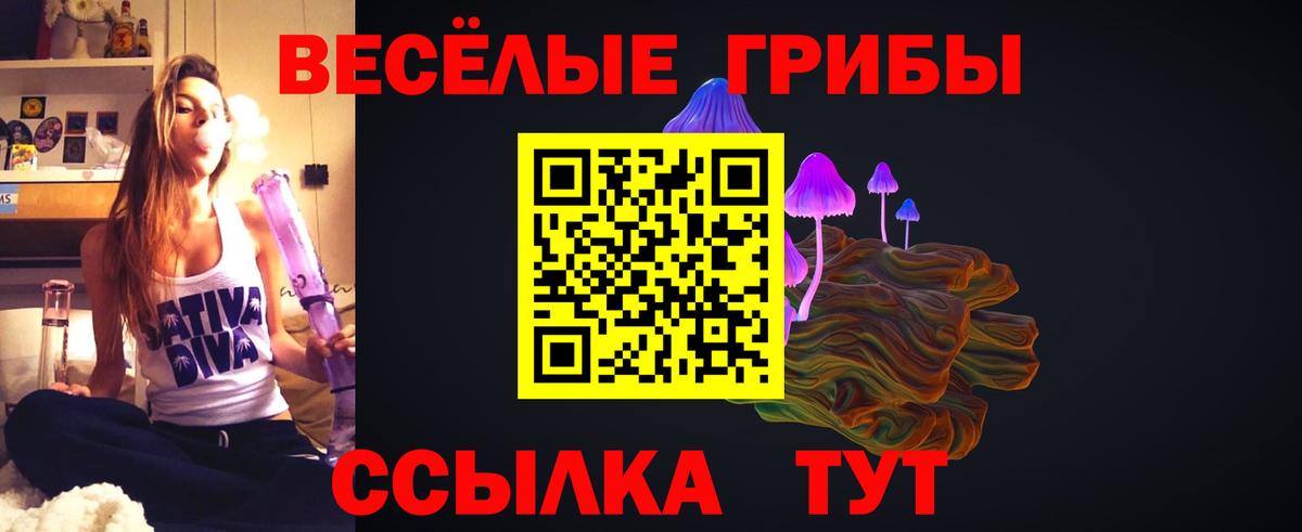Галлюциногенные грибы Psilocybine cubensis Майкоп