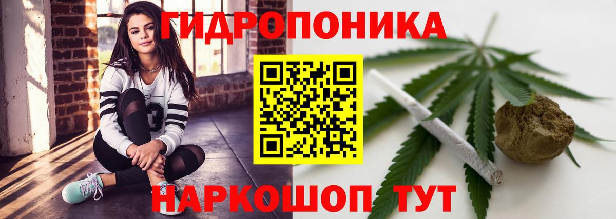 Псилоцибиновые грибы Майкоп